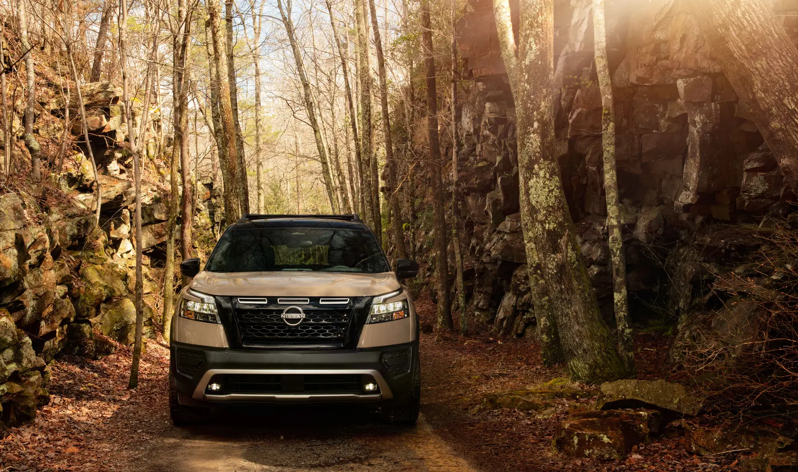 Nissan Pathfinder 2025 Platinum Exterior